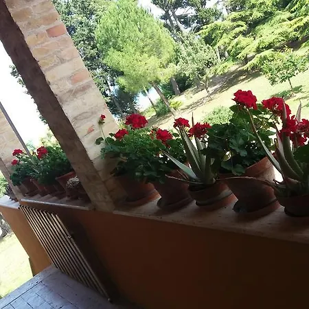 לינה וארוחת בוקר Giardino Sul Mare Tortoreto