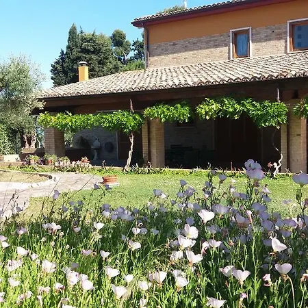 לינה וארוחת בוקר Giardino Sul Mare