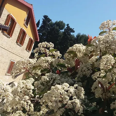Giardino Sul Mare לינה וארוחת בוקר