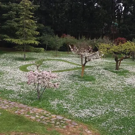 לינה וארוחת בוקר Giardino Sul Mare *